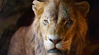 Песня Шрама|будем ждать|король лев 2019.