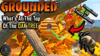 Grounded What's At The Top Of The Oak Tree? Beehive!? Scrapped Content Or Future Content!?