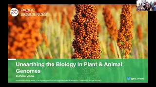 Unearthing the Biology in Plant & Animal Genomes
