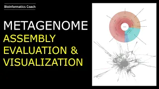 Metagenome Assembly, Evaluation & Visualization