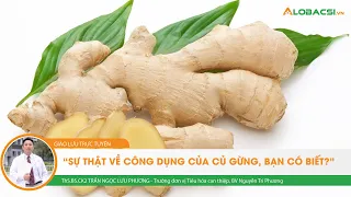 Sự thật về công dụng của gừng, bạn có biết? - ThS.BS.CK2 Trần Ngọc Lưu Phương