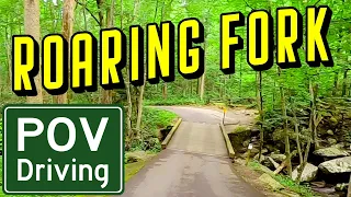 Roaring Fork Motor Trail POV | Smokies Scenic Drive