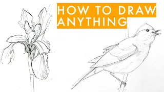 How to draw anything | learn sketching for beginners in 7 steps