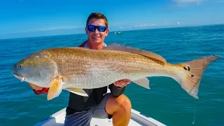 GIANT Redfish & Snook- CATCH CLEAN COOK- Pan Seared Snook and Scallops!