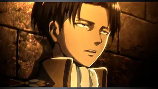 levi edit I tuesday