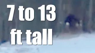 Christmas Bigfoot Giant - 13 ft Tall???!!!! (ThinkerThunker)