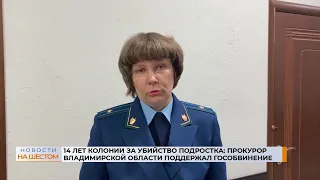 14 лет колонии за убийство подростка: прокурор Владимирской области поддержал гособвинение