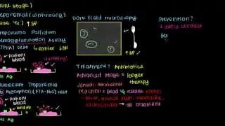 Diagnosis, Treatment, and Prevention of Syphilis