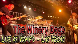 The Winery Dogs - Live at Vamp'd Las Vegas (5/28/2023)