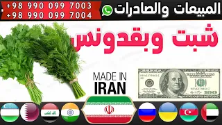 بيع الخضار الإيرانية: 🌿 شراء وتصدير الخضار الإيرانية مثل الشبت والبقدونس إلى الدول العربية