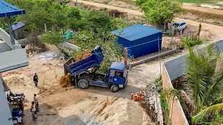 Starting New Project Filling Land Around House Use Dump Trucks 5T & Bulldozer Pushing Soil