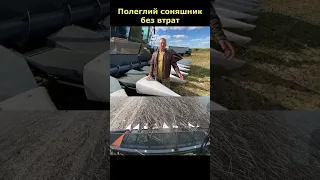 Угорські жатки OptiSun збирають соняшник без втрат! #agro #shorts