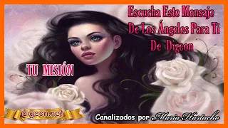 MENSAJE de los ÁNGELES PARA TI DIGEON💌🤍ÁNGEL DEL CAMINO🤍TU MISIÓN 🔴enseñanzas VERTI🔴