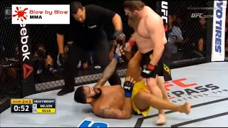 'Big Country' Roy Nelson TOP 5 KNOCKOUTS