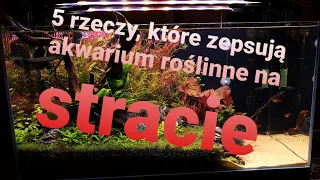 Akwarium roślinne. Kłopoty na starcie. Update 3 msc.