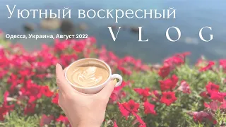 Уютный воскресный влог - мой день, полезные рецепты, Одесса 2022
