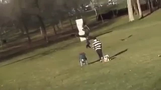 Golden Eagle ATTACKS Human Baby in PARK!!