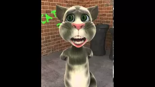 Talking Tom sings What Does The Fox Say!