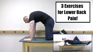 McGill Big 3 - Lower Back Pain Exercises
