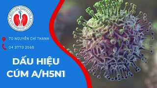 Nhận biết dấu hiệu bệnh cúm A/H5N1