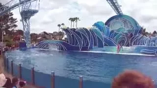 Blue Horizons (Full Show/720p) 11:30am April 23 2015 - SeaWorld San Diego