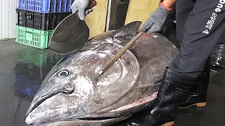 Luxurious sashimi! Giant bluefin tuna cutting show / 巨大黑鮪魚切割秀,黑鮪魚金三角 - Taiwanese Food