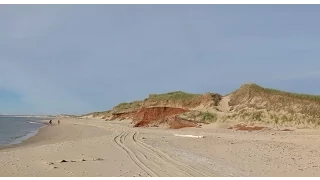 Tasting Seal On The Beach In The Magdalen Islands