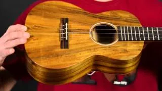 Elderly Instruments Demo: Martin T1K