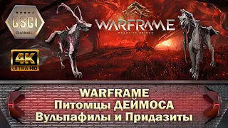 Warframe | Питомцы ДЕЙМОСА | Вульпафилы и Придазиты