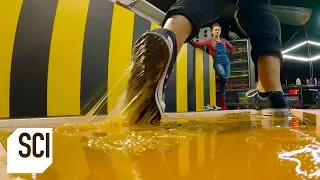 Can You Walk on Rodent Glue Without Getting Stuck? | MythBusters Jr.