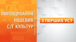 " З перших уст": Вирощування нішевих с/г культур.