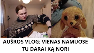 Aušros vlog: vienas namuose tu darai ką nori