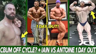 Iain Valliere VS Antoine Vaillant 1 DAY OUT! + Chris Bumstead Is OFF? + James Hollingshead Is HUGE!