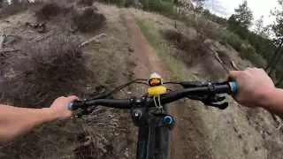 They cut the trees on this trail