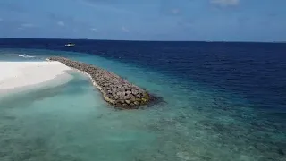 kiha beach hotel dharavandhoo