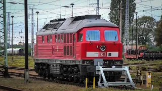 Diverse Trains of East Germany: Railway trip 🇩🇪