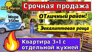 СРОЧНО ПРОДАЁТСЯ КВАРТИРА 3+1. МЕРСИН НЕДВИЖИМОСТЬ ТУРЦИЯ.  #мерсин #мерсиннедвижимость #турция