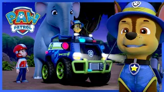 Best Chase Jungle Rescues and MORE PAW Patrol Cartoons for Kids