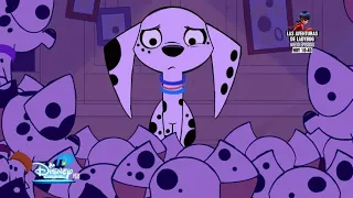 Dalmatian Street Episode 1 Dog’s Best Friend – Boom Night Full Episode