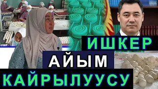 Өзгөчө КУРУТ жасаган айылдагы айымдын Садыр Жапаровко кайрылуусу кызык болду. АТА-ЖУРТ КЫРГЫЗСТАН✅№7