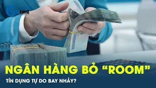 Lý do thực sự khiến Ngân hàng Nhà nước muốn duy trì quản “room” tín dụng | CafeLand