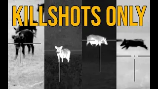 49 Hogs DOWN | Thermal Vision Wild Boar Hunting in Texas