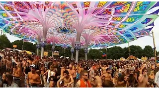 Progressive Psytrance December 2016[Psy-Fi festival edition]