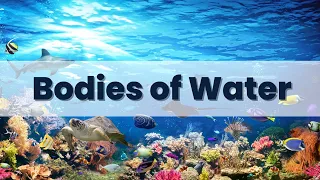 Bodies of Water: Exploring the Different Water Forms on Earth