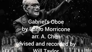 GABRIEL'S OBOE by Ennio Morricone (A. Chen) - Cello Nerd