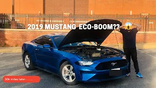 Ford Mustang Ecoboost common problems (2.3 4 CYL)