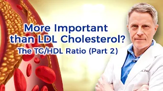 More Important than LDL Cholesterol? The TG/HDL Ratio (Part 2)