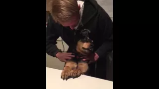 Heidi Gets a Massage