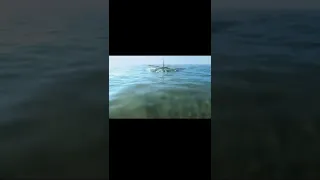 Пятиглавая акула терроризирует открытый океан  Фильм Нападение пятиглавой акулы