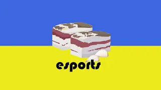 Salo eSports present